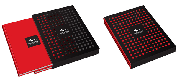 国信龙湖世家标志包装设计 国信龙湖世家标志包装设计