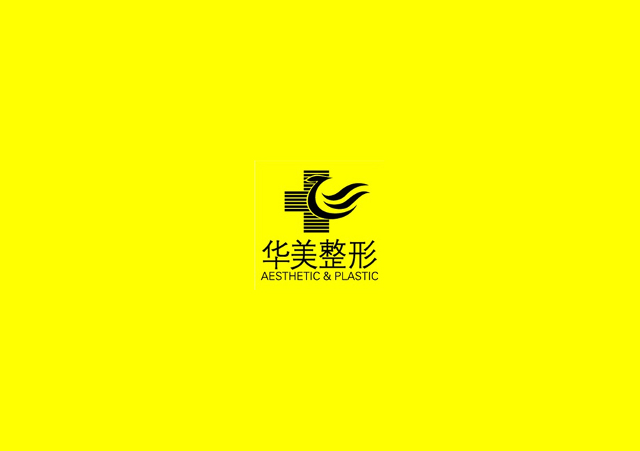 华美logo 华美logo