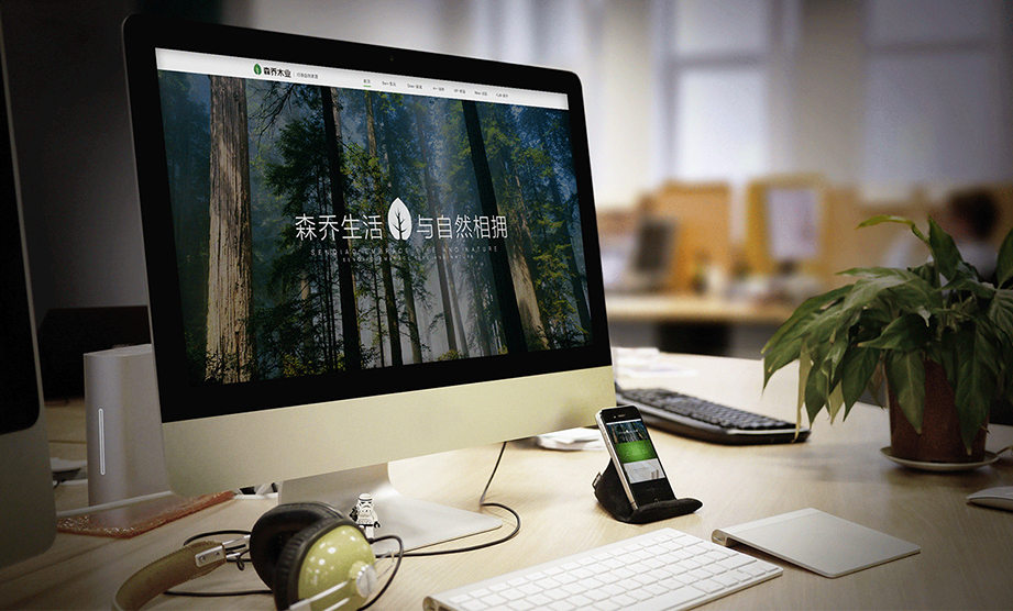 森乔案例_29 森乔案例_29