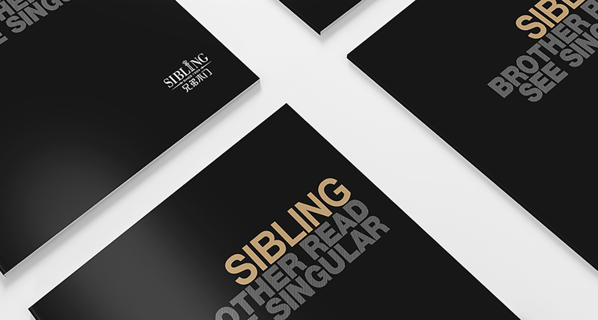 兄弟品牌画册2 兄弟品牌画册2